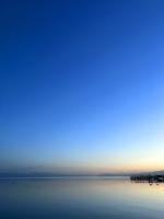 Peaceful Horizon: Darikha Arapbaeva, Senior Winner